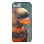 Lorikeet Barely There iPhone 6 Case