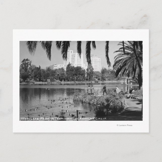 Los Angeles, CA West Lake Park in Winter Postcard (Front)