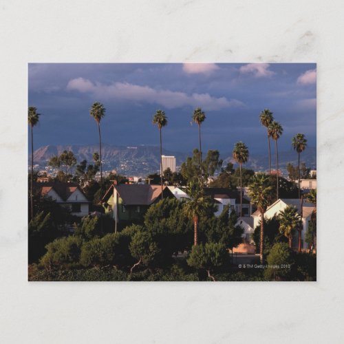 Los Angeles California Postcard