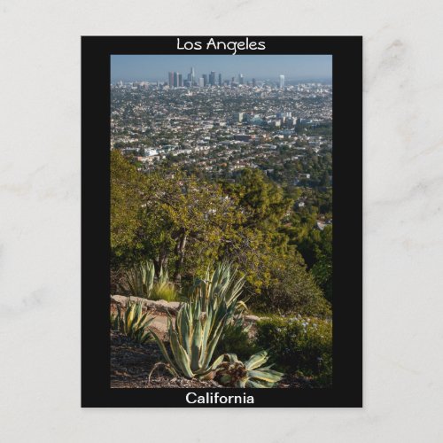 Los Angeles California postcard