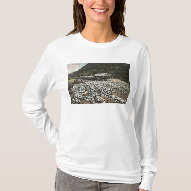 Los Angeles, CaliforniaView of a Pigeon Farm T-Shirt (Front)