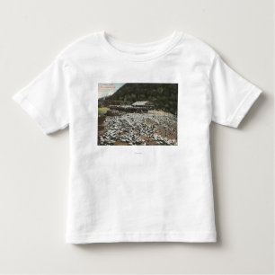 Los Angeles, CaliforniaView of a Pigeon Farm Toddler T-shirt