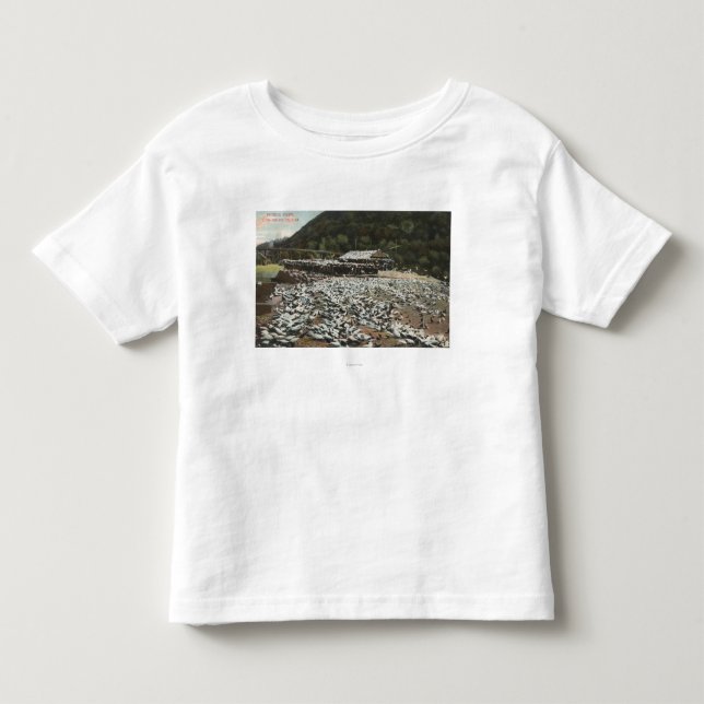 Los Angeles, CaliforniaView of a Pigeon Farm Toddler T-shirt (Front)