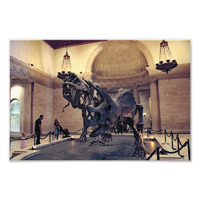 Los Angeles Natural History Museum  Photo Print (Front)