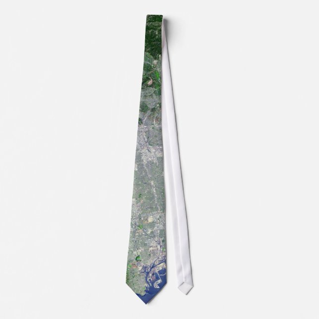 Los Angeles Neck Tie (Front)