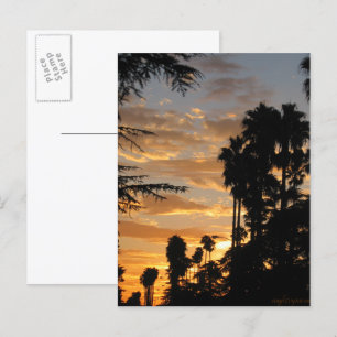 Los Angeles Palm Tree Sunset Postcard