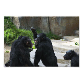 Los Angeles Zoo Photo Print
