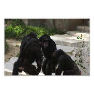 Los Angeles Zoo Photo Print