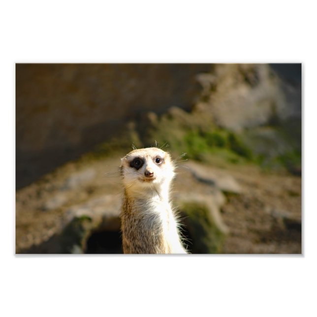 Los Angeles Zoo Photo Print (Front)