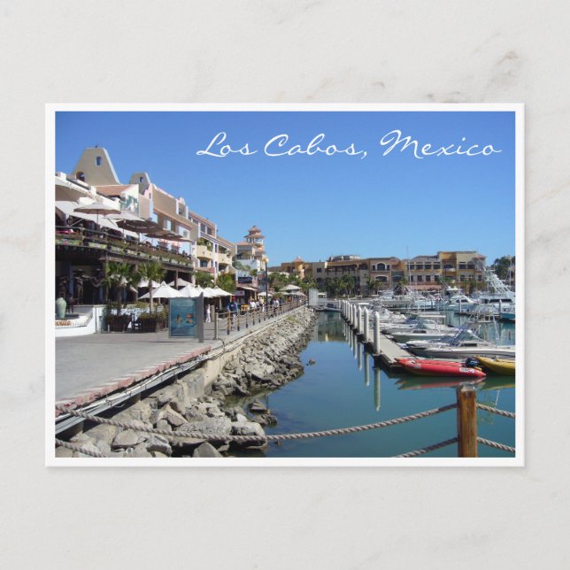 los cabos mexico postcard (Front)