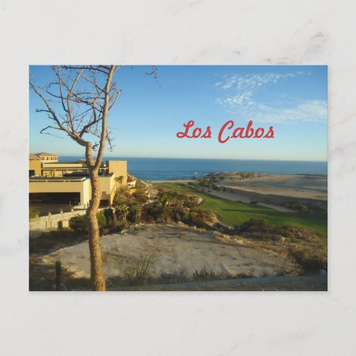 Los Cabos Mexico Postcard