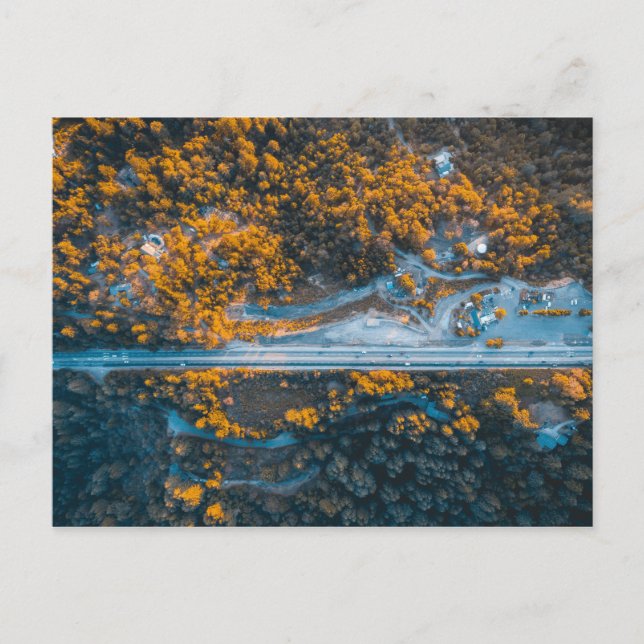 Los Gatos, United States Postcard (Front)