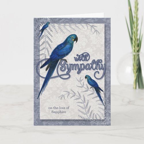 Loss of a Bird Hyancinth Macaw Pet Sympathy Card