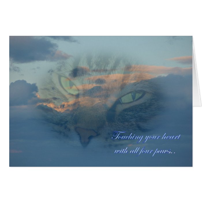 Loss of a cat. Loss of a pet. Condolences Sympathy Greeting Cards