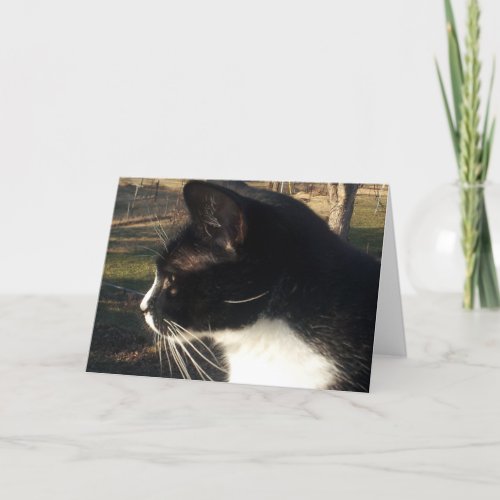 Loss of A cat Pet Card