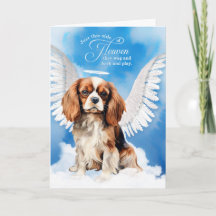 Loss of a Cavalier King Charles Dog Pet Sympathy