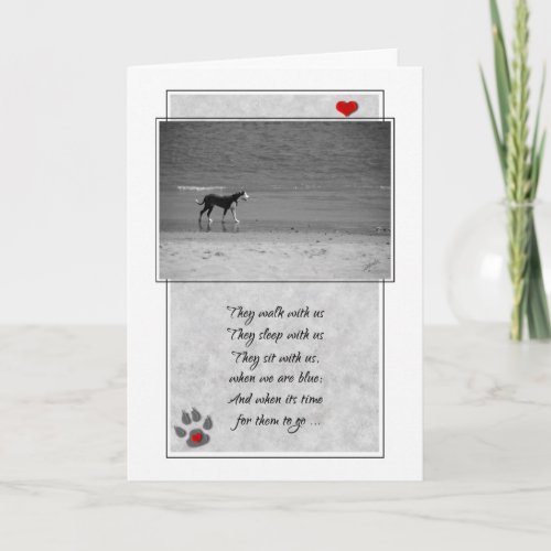 Loss of a Dog Beach Theme Pet Sympathy Card