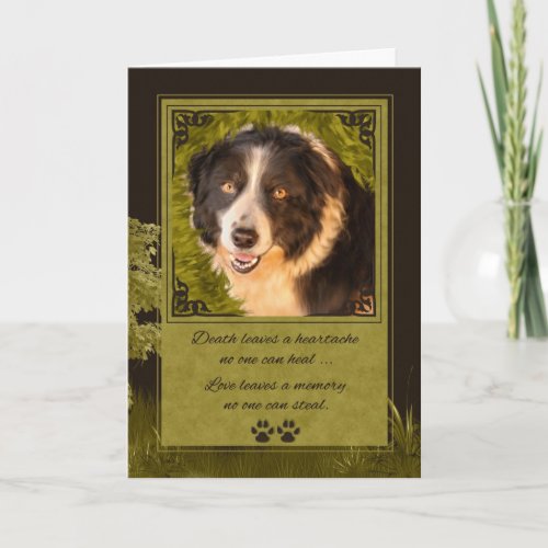 Loss of a Dog Border Collie Pet Sympathy Card