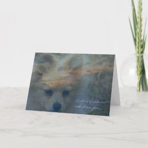 Loss of a dog. Loss of a pet. Condolences Sympathy Card