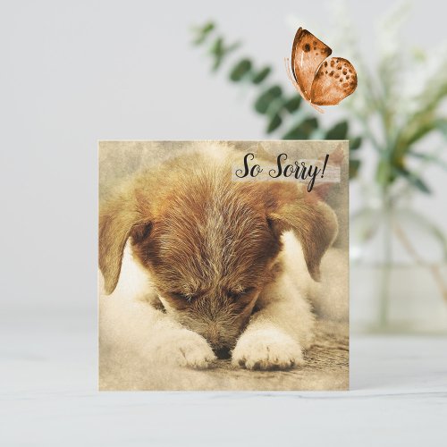 Loss of a Pet  Dog Card