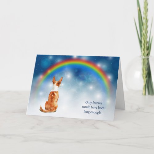 Loss of Basenji Dog Night Rainbow Sympathy