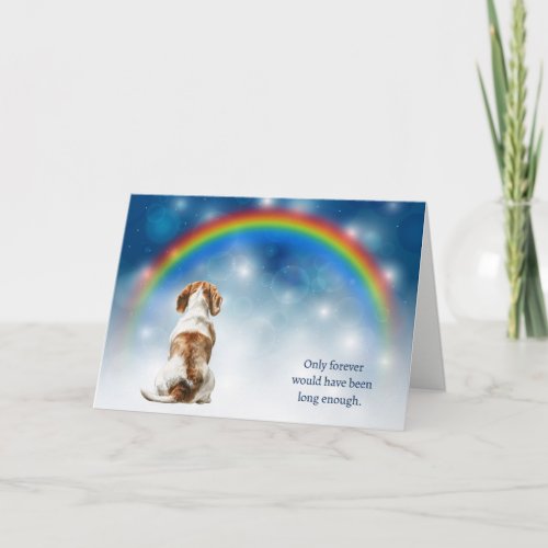 Loss of Beagle Hound Dog Night Rainbow Sympathy