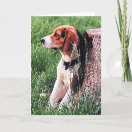 Loss of Beloved Pet Friend Sympathy Card