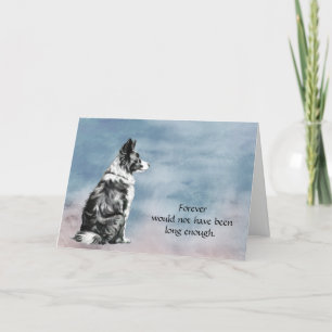 Loss of Border Collie Condolence Sympathy #2 Card