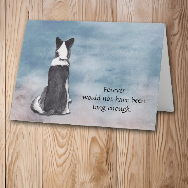 Loss of Border Collie Condolence Sympathy Card (Creator Uploaded)