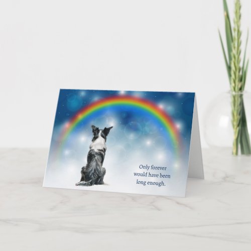 Loss of Border Collie Dog Night Lights Sympathy