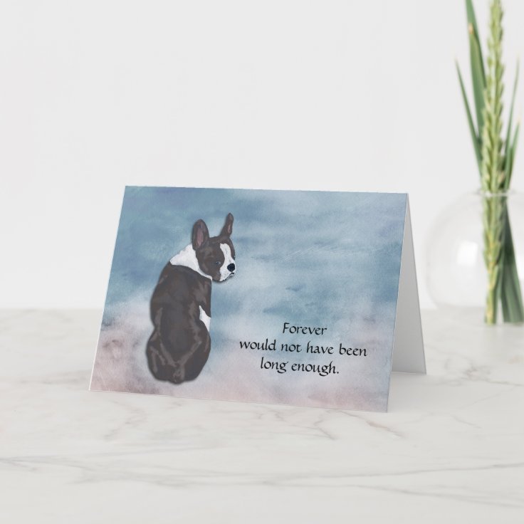 Loss of Boston Terrier Condolence Sympathy Card Zazzle