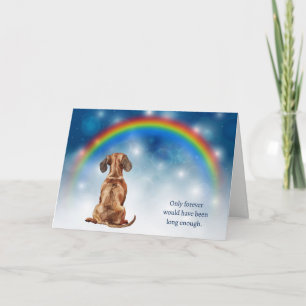 Loss of Brown Dachshund Dog Night Lights Sympathy Holiday Card