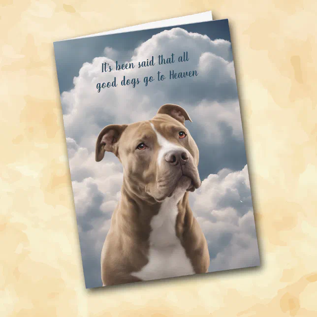 Pitbull Loss The path toward visibility and acceptance