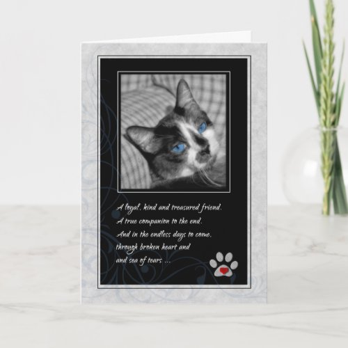 Loss of Cat Black and White Calico Pet Sympathy Card