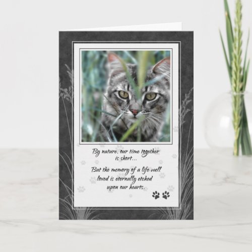  Loss of Cat Gray Tabby Pet Sympathy Card