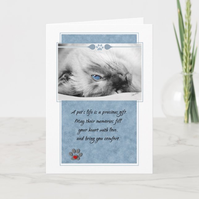 Loss of Cat Siamese on Blue Pet Sympathy Card (Front)