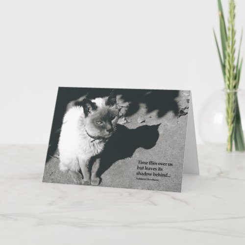 Loss of Cat Sympathy Card