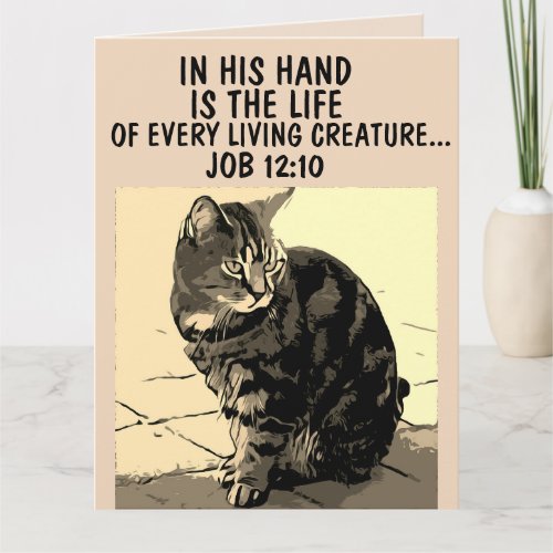 LOSS OF CAT SYMPATHY CONDOLENCES GREETING CARDS