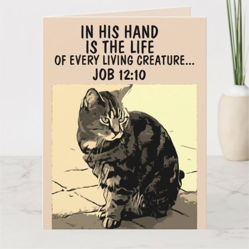 LOSS OF CAT SYMPATHY CONDOLENCES GREETING CARDS