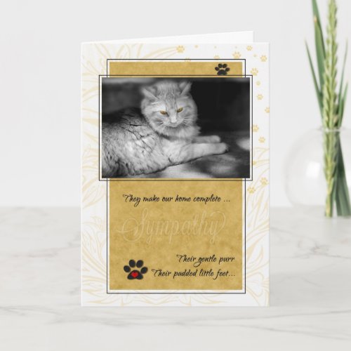 Loss of Cat Yellow and Black Pet Sympathy Card