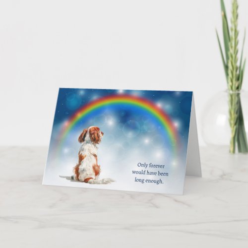 Loss of Cavalier King Charles Spaniel Night Lights