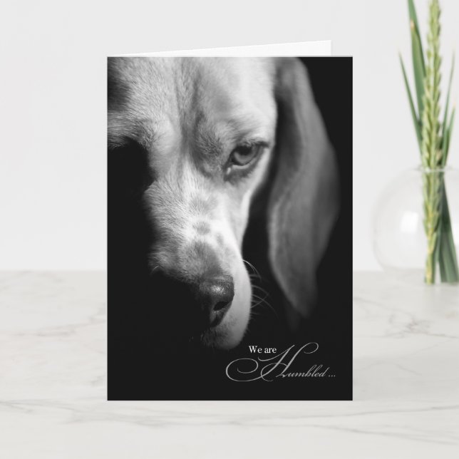 Loss of Dog Beagle on Black Pet Sympathy Card (Front)