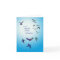 Loss of grandson, sympathy card, flying birds