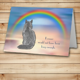 Loss of Gray Cat Rainbow Sympathy Card