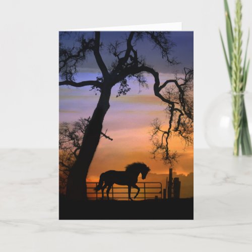 Loss of Horse Horse Sympathy Cards