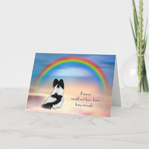 Loss of Papillon Spaniel Dog Rainbow Sympathy Card