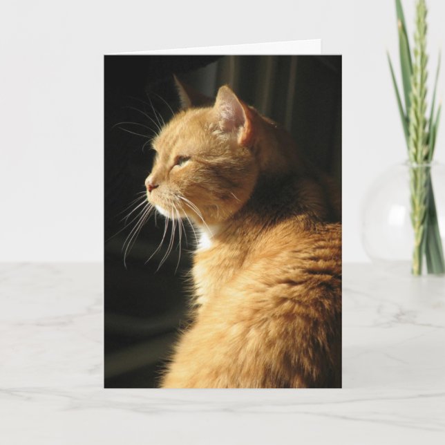 Loss of pet. card (Front)