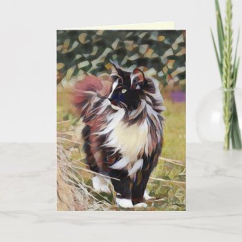 Loss Of Pet Cat Marge Piercy Quote Custom Sympathy Card by Angharad13 at Zazzle