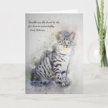 Loss Of Pet Cat (tabby) Custom Sympathy Card by Angharad13 at Zazzle
