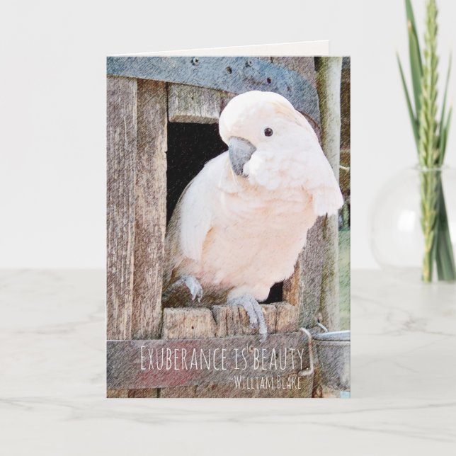 Loss of Pet Cockatoo Blake Quote Custom Sympathy Card (Front)